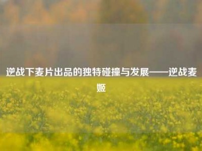 逆战下麦片出品的独特碰撞与发展——逆战麦姬