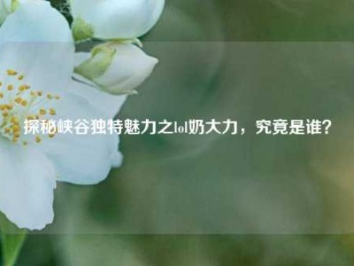 探秘峡谷独特魅力之lol奶大力，究竟是谁？