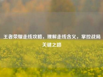 王者荣耀走线攻略，理解走线含义，掌控战局关键之路