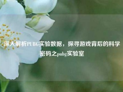 深入解析PUBG实验数据，探寻游戏背后的科学密码之pubg实验室