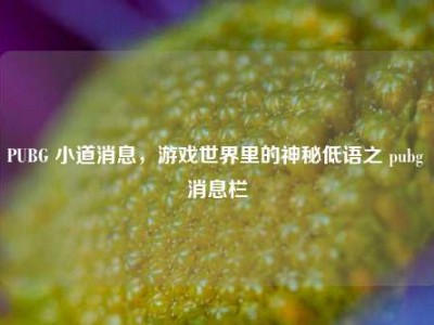 PUBG 小道消息，游戏世界里的神秘低语之 pubg 消息栏