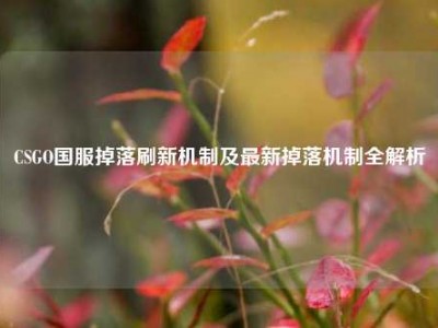 CSGO国服掉落刷新机制及最新掉落机制全解析