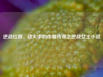 逆战红颜，战火中的巾帼传奇之逆战女王小说