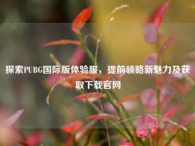 探索PUBG国际版体验服，提前领略新魅力及获取下载官网