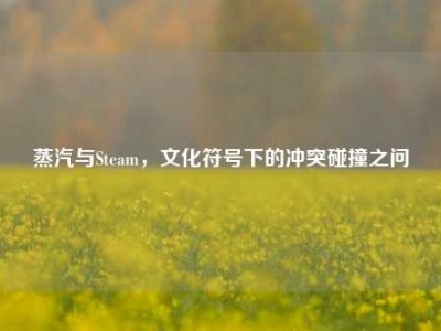 蒸汽与Steam，文化符号下的冲突碰撞之问