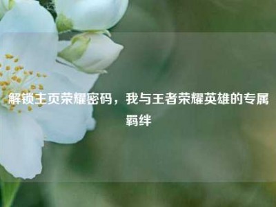 解锁主页荣耀密码，我与王者荣耀英雄的专属羁绊
