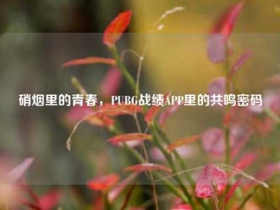 硝烟里的青春，PUBG战绩APP里的共鸣密码