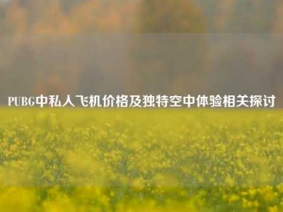 PUBG中私人飞机价格及独特空中体验相关探讨
