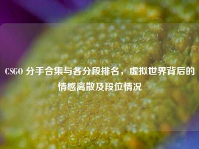 CSGO 分手合集与各分段排名，虚拟世界背后的情感离散及段位情况