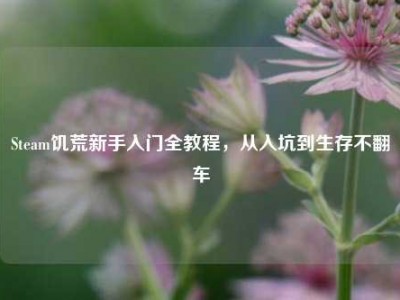 Steam饥荒新手入门全教程，从入坑到生存不翻车