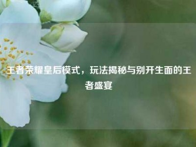 王者荣耀皇后模式，玩法揭秘与别开生面的王者盛宴