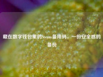 藏在数字钱包里的Steam备用码，一份安全感的备份
