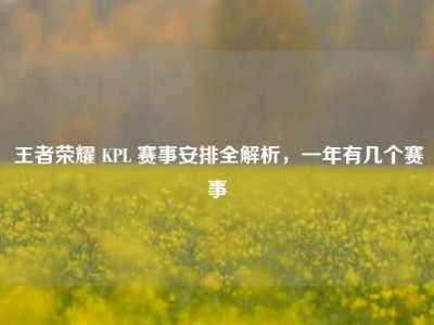 王者荣耀 KPL 赛事安排全解析，一年有几个赛事