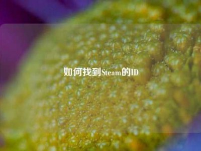 如何找到Steam的ID