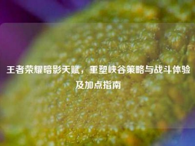 王者荣耀暗影天赋，重塑峡谷策略与战斗体验及加点指南