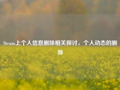 Steam上个人信息删除相关探讨，个人动态的删除