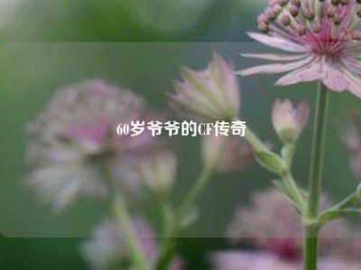 60岁爷爷的CF传奇