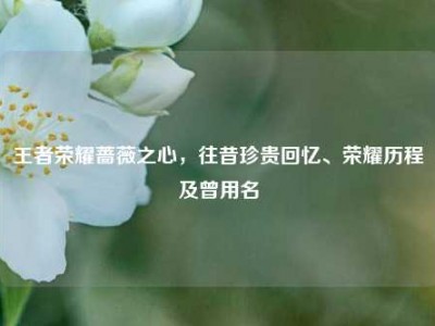 王者荣耀蔷薇之心，往昔珍贵回忆、荣耀历程及曾用名