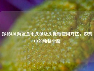 探秘LOL海盗金币头像及头像框使用方法，游戏中的独特宝藏