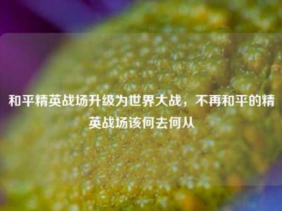 和平精英战场升级为世界大战，不再和平的精英战场该何去何从