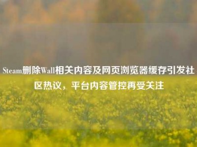 Steam删除Wall相关内容及网页浏览器缓存引发社区热议，平台内容管控再受关注