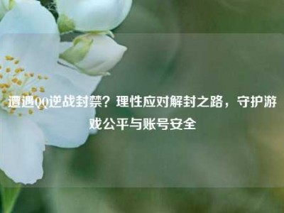 遭遇QQ逆战封禁？理性应对解封之路，守护游戏公平与账号安全