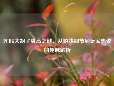 PUBG大胡子身高之谜，从游戏细节到玩家热议的趣味解析