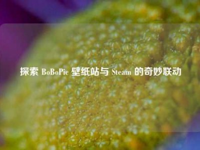 探索 BoBoPic 壁纸站与 Steam 的奇妙联动