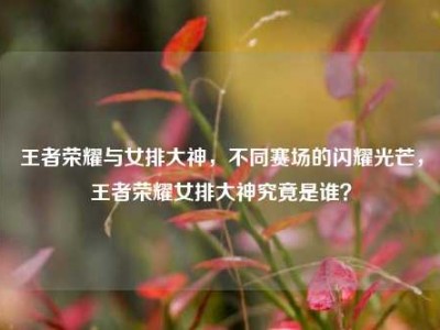 王者荣耀与女排大神，不同赛场的闪耀光芒，王者荣耀女排大神究竟是谁？