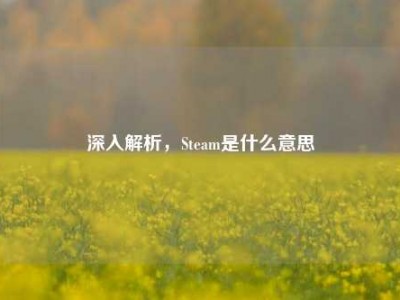 深入解析，Steam是什么意思