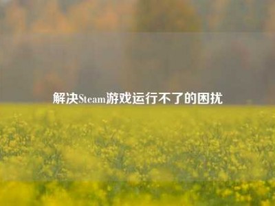 解决Steam游戏运行不了的困扰