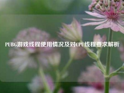 PUBG游戏线程使用情况及对CPU线程要求解析