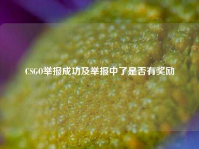 CSGO举报成功及举报中了是否有奖励