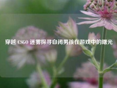 穿越 CSGO 迷雾探寻自闭男孩在游戏中的曙光