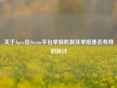 关于Apex在Steam平台举报机制及举报是否有用的探讨