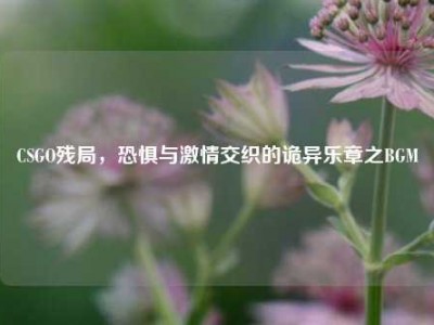 CSGO残局，恐惧与激情交织的诡异乐章之BGM