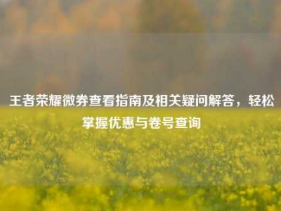王者荣耀微券查看指南及相关疑问解答，轻松掌握优惠与卷号查询