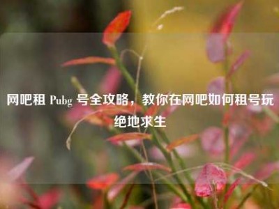 网吧租 Pubg 号全攻略，教你在网吧如何租号玩绝地求生