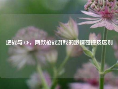 逆战与 CF，两款枪战游戏的激情碰撞及区别