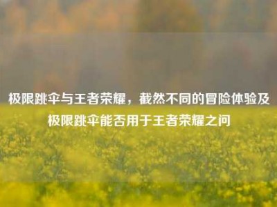 极限跳伞与王者荣耀，截然不同的冒险体验及极限跳伞能否用于王者荣耀之问