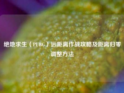 绝地求生（PUBG）远距离作战攻略及距离归零调整方法