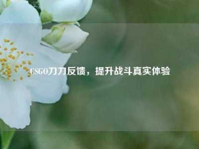 CSGO刀刀反馈，提升战斗真实体验
