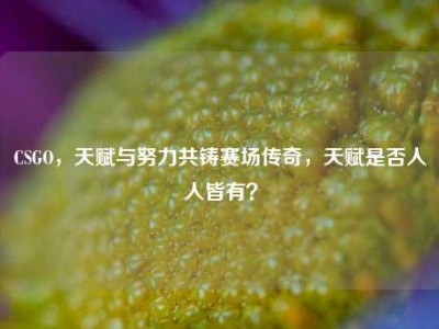 CSGO，天赋与努力共铸赛场传奇，天赋是否人人皆有？