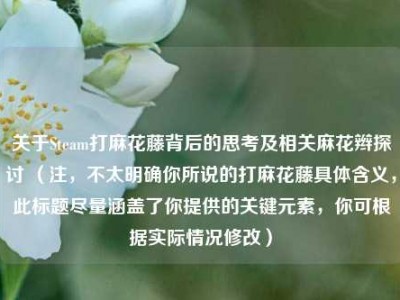 关于Steam打麻花藤背后的思考及相关麻花辫探讨 （注，不太明确你所说的打麻花藤具体含义，此标题尽量涵盖了你提供的关键元素，你可根据实际情况修改）
