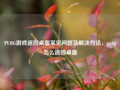 PUBG游戏返回桌面常见问题及解决方法，pubg怎么返回桌面