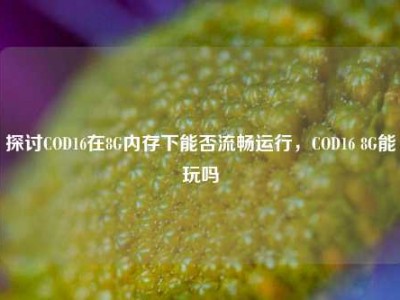 探讨COD16在8G内存下能否流畅运行，COD16 8G能玩吗