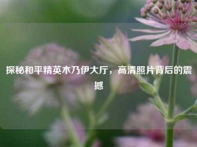 探秘和平精英木乃伊大厅，高清照片背后的震撼