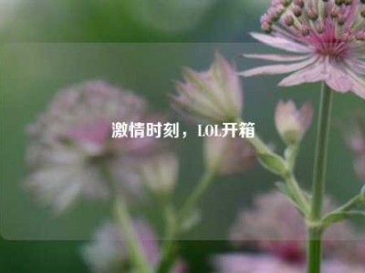 激情时刻，LOL开箱
