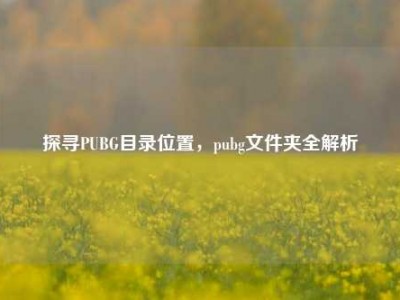 探寻PUBG目录位置，pubg文件夹全解析