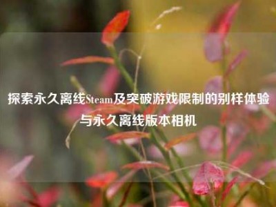 探索永久离线Steam及突破游戏限制的别样体验与永久离线版本相机